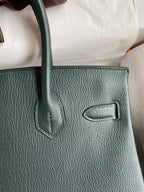 Birkin 30 Togo Leather