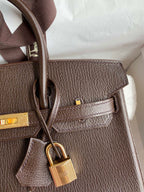 Birkin 25 Chevre (Goat Leather) Bag