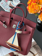Birkin 25 Togo Leather - Silver Hardware