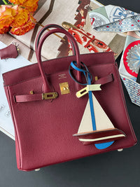 Birkin 25 Togo Leather - Gold Hardware