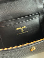 26A Small Vanity Case with Chain in Lizard-Embossed Calfskin Bag