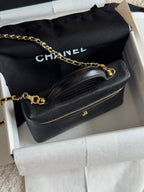 26A Small Vanity Case with Chain in Lizard-Embossed Calfskin Bag