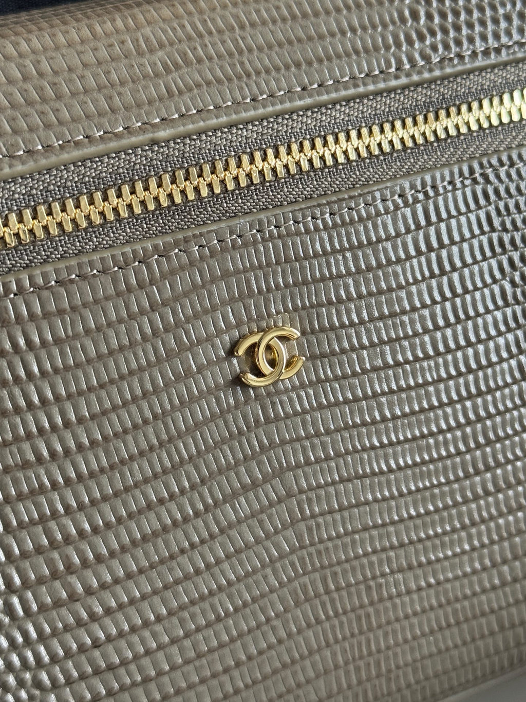 26A Small Vanity Case with Chain in Lizard-Embossed Calfskin Bag