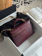 26A Small Vanity Case with Chain in Lizard-Embossed Calfskin Bag