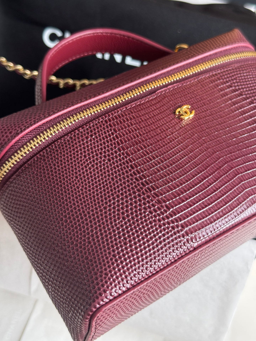 26A Small Vanity Case with Chain in Lizard-Embossed Calfskin Bag