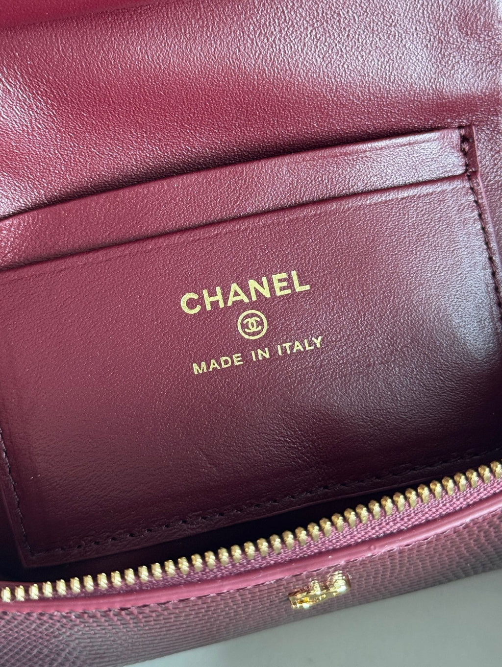 26A Small Vanity Case with Chain in Lizard-Embossed Calfskin Bag