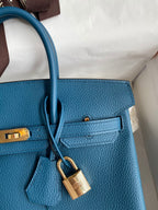 Birkin 25cm Togo Leather Handbag