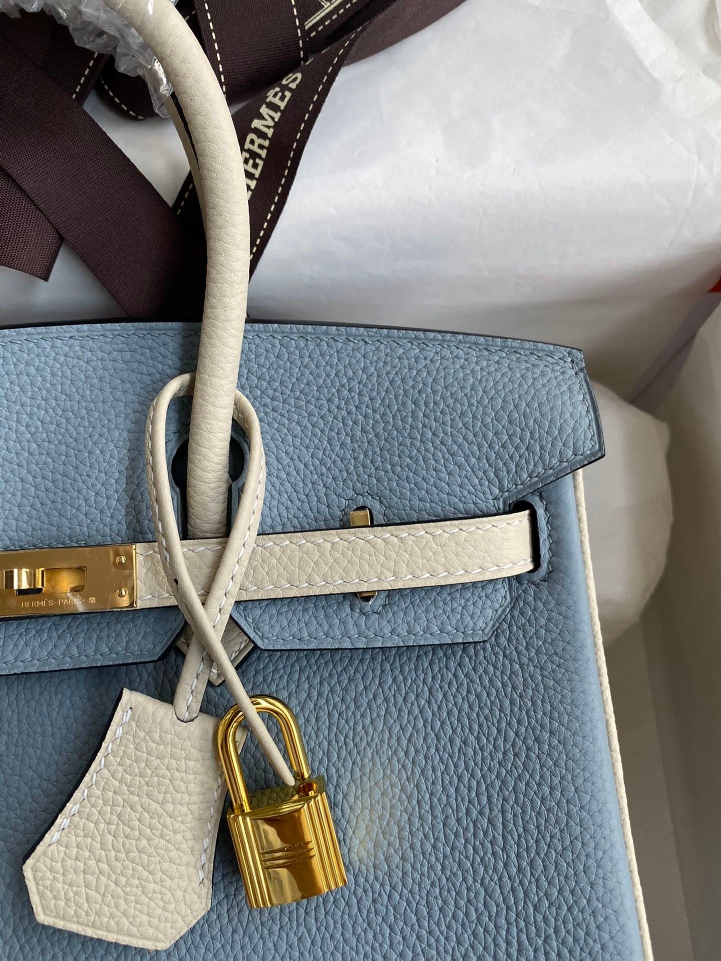 Birkin 25cm Togo Leather Handbag