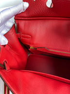 Birkin 25cm Togo Leather Handbag