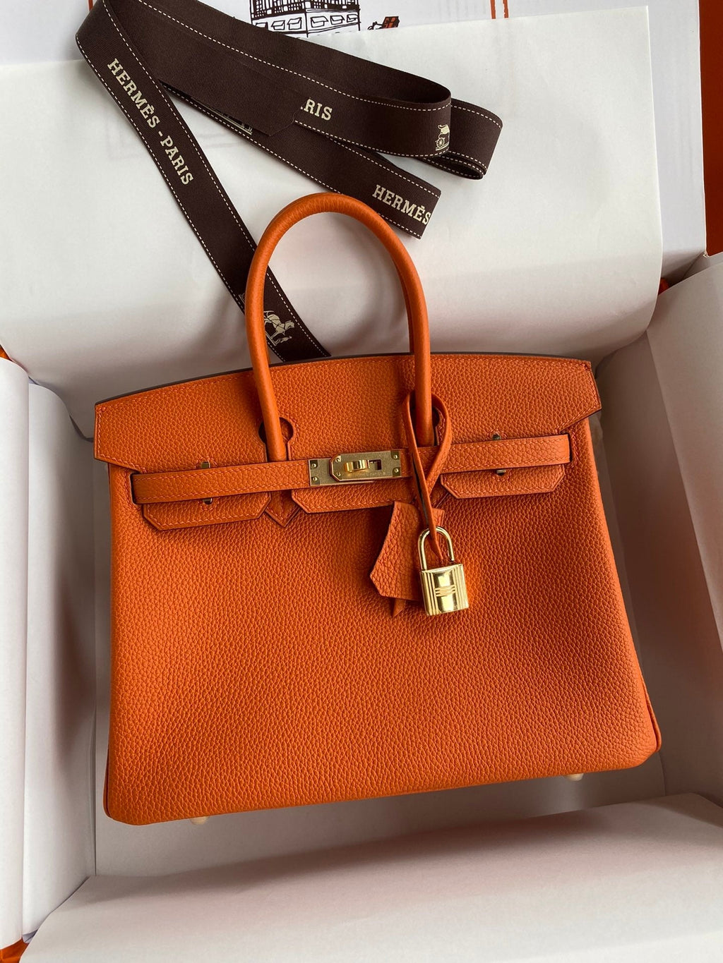 Birkin 25cm Togo Leather Handbag