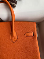 Birkin 25cm Togo Leather Handbag