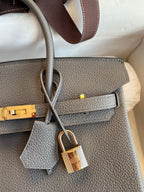 Birkin 25cm Togo Leather Handbag