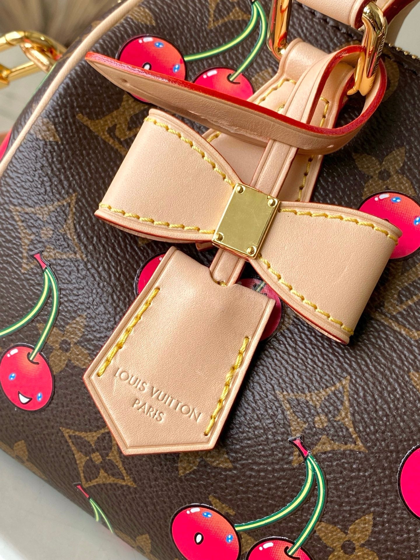 Speedy Bandoulière 20 Monogram Canvas with Cherry Print