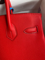 Birkin 30 Togo Leather
