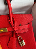 Birkin 30 Togo Leather