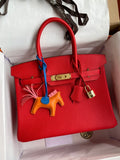 Birkin 30 Togo Leather