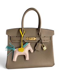 Birkin Togo Leather – Étoupe with Gold Hardware